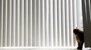 99% of Customers Recommend Village Blinds and Shutters Vertical Blinds Cat