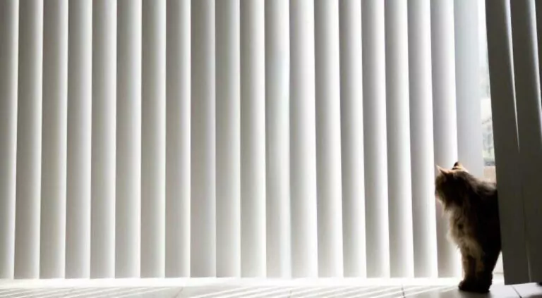 99% of Customers Recommend Village Blinds and Shutters Vertical Blinds Cat