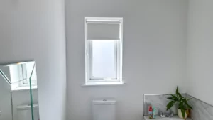 Modern white minimalist bathroom plants white roller bathroom blinds contemporary decor