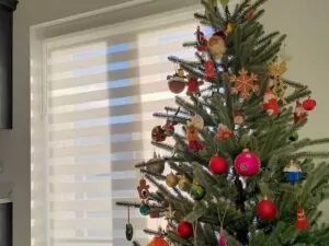 5* Day and Night Blinds in Maghera – Stylish & Practical