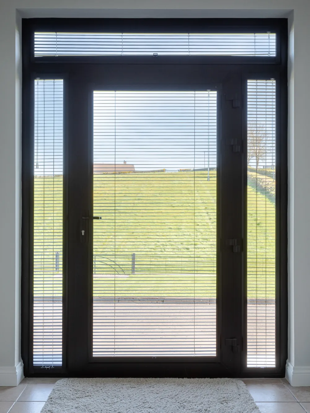 Slim Venetian blinds fitted to a glazed entrance door, side panels and toplight