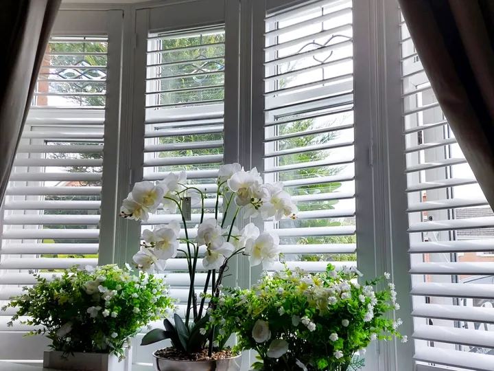 Plantation shutters fitted around a bay window